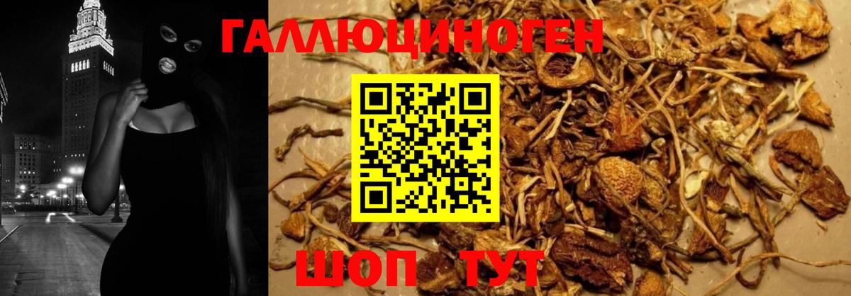 Галлюциногенные грибы Magic Shrooms Кондопога